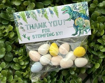 Dinosaur Birthday Theme, Baby Shower Favours For Guests, Dinosaur Birthday Party Invitations, Favor Bag Toppers, Dinosaur Party Favors, Dinosaur Themed Birthday Party, Dino Birthday Party, Third Birthday Party, Diy Party Favors