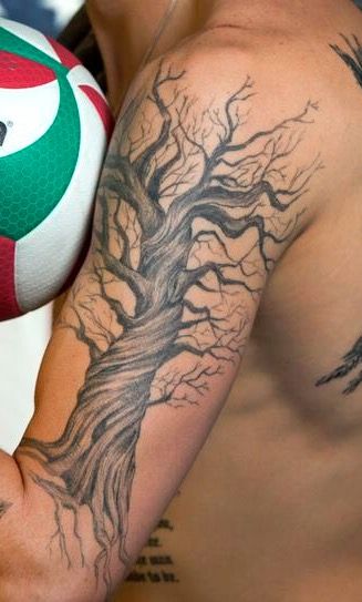 Arm Tree Tattoo Men, Oak Tree Tattoo Men, Tree Tattoo Shoulder, Poison Tree Tattoo, Tree Of Life Tattoo Men, Ethan Tattoo, Giving Tree Tattoo, Tree Roots Tattoo, Native American Tattoo Designs