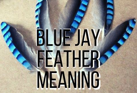 Bluejay Feather Tattoo, Blue Jay Feather Meaning, Blue Jay Feather Tattoo, Blue Feather Tattoo, Blue Jay Meaning, Bluejay Feather, Blue Jay Tattoo, Jay Tattoo, Blue Jay Feather