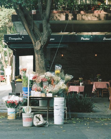 Taking A Photo Aesthetic, Urban Film Photography, New York City Film Photography, Mexico Street Photography, Mexico Film Photography, Architecture Film Photography, Digital Film Photography, Garden Film Photography, Street Film Photography