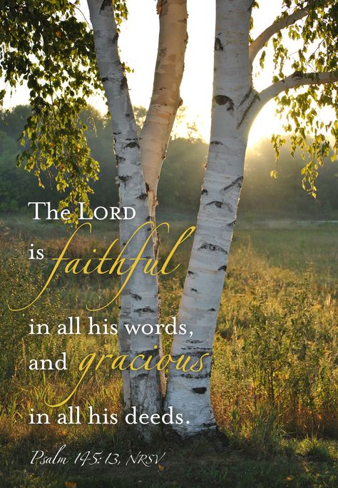 The Lord Is Faithful Quotes, Bible Verse For Sunday, The Lord Is Faithful, Inspirational Quotes Encouragement, Christian Fall, Morning Monday, Best Bible Verses, Book Of Psalms, Beautiful Scripture