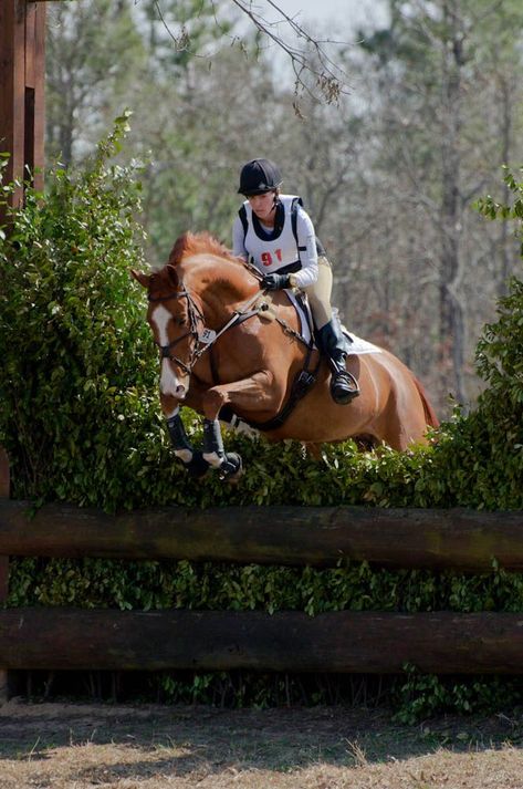 Eventing Cross Country, Cross Country Jumps, Country Photography, Equestrian Aesthetic, Eventing Horses, Equestrian Riding, Chestnut Horse, Horse Jumping, Horse Life