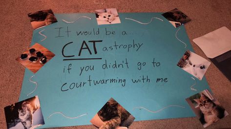 how i’m asking my guy to our courtwarming/sadie hawkins! Cat Hoco Proposal, Cat Promposal, Sadies Proposal, Dance Proposals, Homecoming Signs, Cute Prom Proposals, Dance Proposal, Prom Proposals, Sadie Hawkins