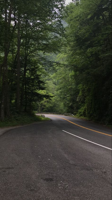 #forest #fyp #road Road Photos, Big Modern Houses, Nature Peaceful, Cars On The Road, Road Photography, Forest Road, Bus Travel, Long Road, Beautiful Forest