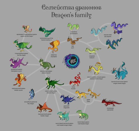 Dragon's family by Behane Different Types Of Dragons Chart, Types Of Dragons Chart, Dragon Body Types, Dragon Classification, Dragon Chart, Dragon Types, Dragon Species, Mythical Creature Design, Dragon Hoard