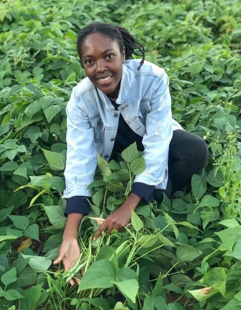 African youth are pivotal in transforming our food systems. By empowering farmers with innovative knowledge and turning agriculture into a business-oriented sector, they are driving sustainable growth & food security. Let us invest in their potential! #agriculture #agribusiness Beans Growing, Agriculture Business, Park Picnic, Food System, Food Security, Growing Tips, Liberia, African Inspired, Zambia