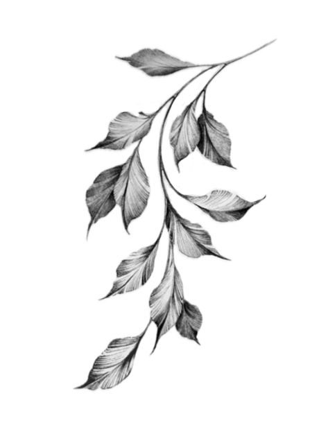 Botanical Filler Tattoo, Gothic Flowers Drawing, Dark Leaves Tattoo, Vine Filler Tattoo, Rose Leaves Tattoo, Minimalist Leaf Tattoo, Jungle Leaves Tattoo, Branch Tattoo Design, Gothic Floral Tattoo