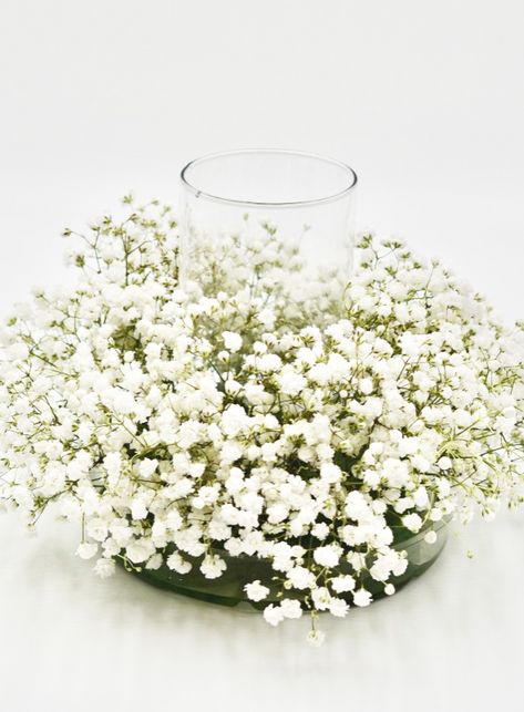 Simple Baby Breath Centerpiece, Babies Breath Wedding Centerpieces, Babys Breath Table Scape, Baby Breath Flower Arrangements, Baby's Breath Centerpieces, Flower Ball Centerpiece Wedding, Baby Breath Centerpiece Wedding, Baby’s Breathe Centerpieces, Wedding Centerpieces Baby's Breath