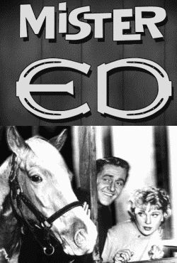 :D Mr Ed, Mister Ed, 70s Nostalgia, Childhood Tv Shows, Classic Television, Old Shows, Great Tv Shows, Old Tv Shows, Vintage Tv