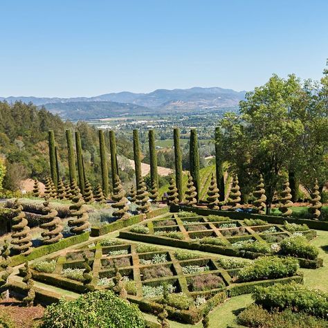 We asked our fans "what are the most beautiful wineries in Napa Valley" and you answered. Here are the top 10 most beautiful wineries in Napa Valley. Nappa Valley Homes, Napa Birthday, Napa Valley Honeymoon, Beautiful Wineries, Napa Valley Restaurants, Napa Vineyards, Napa Valley Vineyards, San Francisco Vacation, Napa Valley Trip