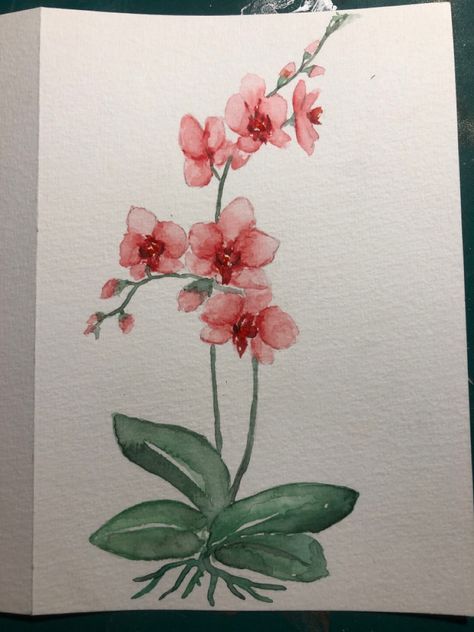 Orchids Painting Watercolors, Orhidee Flowers Drawing, Orchid Aesthetic Drawing, Orchid Watercolour Painting, Pink Orchid Drawing, Simple Orchid Painting, Orchid Sketch Drawing, Orchid Painting Easy, Watercolor Orchids Painting