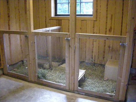 Rabbit Barn Ideas, Goat Shed Ideas, Goat Barn Layout, Rabbit Shed, Goat Playground, Goat Shed, Rabbit Enclosure, Livestock Shelter, Goat Shelter