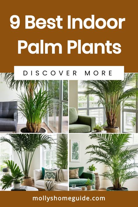 Discover the best indoor palm plants to add a touch of tropical vibes to your home decor. From elegant Parlor Palms to majestic Majesty Palms, explore various types of indoor palm plants and learn essential care tips for each. Find out how to grow and care for indoor palm trees, including Areca Palms, Livistona Palms, and Fan Palms. Create a lush green oasis indoors with these easy-to-care-for air purifying plants. Arica Palm, Macarthur Palm, Majesty Palm Care, Indoor Palm Plants, Palm Tree Care, Indoor Palm, Indoor Palm Trees, Palm Plants, Majesty Palm