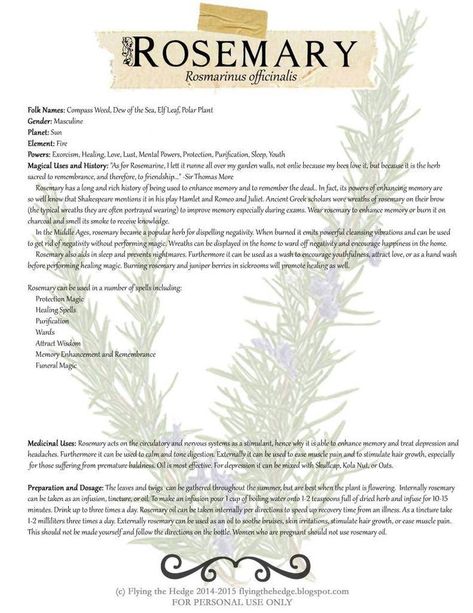 Uses Of Rosemary, Magickal Herbs, Witch Herbs, Green Witchcraft, Witch Garden, Magic Herbs, Magical Herbs, Herbal Healing, Herbal Magic