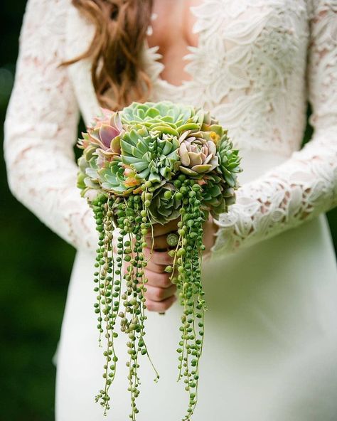 Succulent City on Instagram: “Isn't this wedding bouquet beautiful? The String of Pearls plant makes it extra special! ⁠ ⁠ Need some more succulent bouquet inspo? Check…” Bouquet Succulent, Succulent Wedding Centerpieces, Succulent Bouquet Wedding, String Of Pearls Plant, Beautiful Terrariums, Purple Succulents, Succulent Bouquet, Moon Wedding, Unique Bouquet