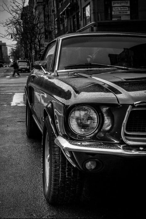 Rusties 1968 Mustang, Мотоциклы Cafe Racers, Auto Retro, Mustang Cobra, Classic Mustang, Mustang Fastback, Ford Classic Cars, Chevelle Ss, Mustang Cars