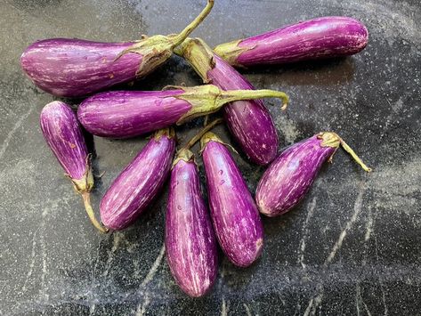 Roasted Fairytale Eggplant Mini Eggplant Recipe, Fairytale Eggplant, Eggplant Roasted, Mini Eggplant, Pine Nut Recipes, Eggplant Recipe, Flaky Salt, Toasted Pine Nuts, Yogurt Sauce