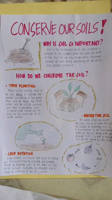 Soil Poster Ideas, Soil Pollution Poster, Soil Conservation Poster, Soil Conservation Poster Ideas, Soil Pollution, Elephant Toothpaste, Soil Conservation, Paper Projects, Third Grade