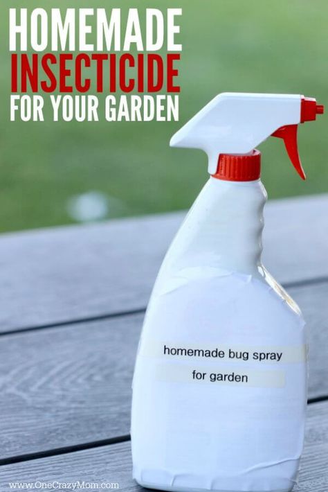 Learn how to make all Natural Pesticide for your Garden. Homemade Insecticide is easy to make and much better than store bought chemicals. Anyone can make this homemade insecticide for plants. Try this all natural insecticide. You will love this homemade insecticide for garden vegetables. #garden #homemadebugspray #bugspray #diybugspray #bugsprayforgarden #naturalinsecticide #insecticide #gardeningtips #onecrazymom Insecticide For Plants, Pesticides For Plants, Homemade Insecticide, Homemade Bug Spray, Slugs In Garden, Organic Insecticide, Organic Gardening Pest Control, Natural Insecticide, Natural Pesticides