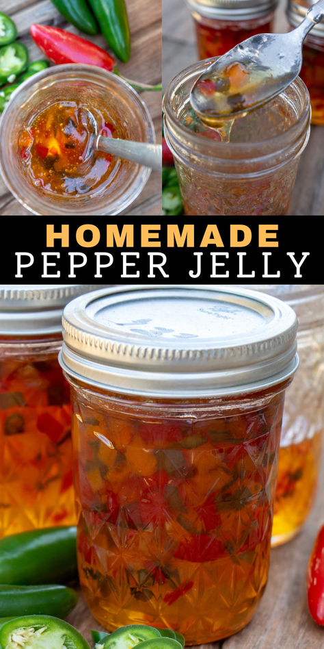 This easy step-by-step guide teaches how to make delicious pepper jelly with jalapenos and sweet peppers! Learn how to can or freeze this homemade jelly recipe for longterm storage that will give you a delicious side with cream cheese and crackers. Homemade Pepper Jelly, Spicy Pepper Jelly, Canning Hot Peppers, Jalapeno Jelly Recipes, Pepper Jelly Recipe, Canning Peppers, Jalapeno Pepper Jelly, Pepper Jelly Recipes, Jalapeno Jelly