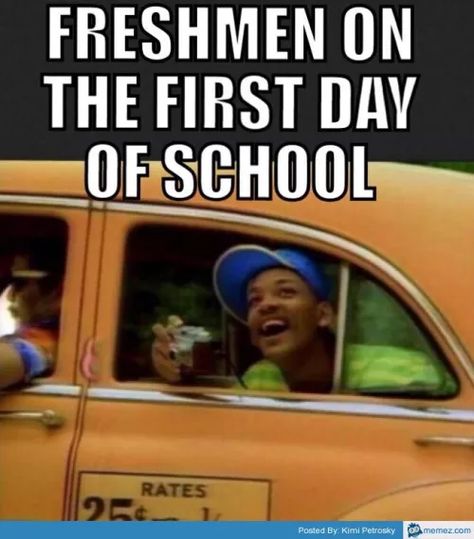 30 Back to School Memes Every Parent Will Appreciate - FamilyEducation Memes About School Activities, Back To School Memes Funny, Freshman Memes, Back To School Meme, High School Memes, Meme School, School Moments, Classroom Memes, How To Have A Good Morning