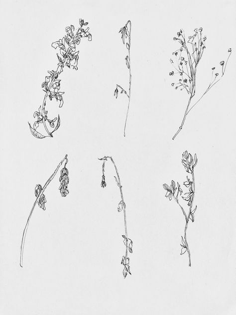 #Flo wers #dryflower #flowers #floral #flowertattoos #flowersketches #sketch #sketchbook Dried Flower Tattoo Design, Dry Flower Tattoo, Dry Flowers Tattoo, Drooping Flower Tattoo, Withering Flower Tattoo, Ethereal Flower Tattoo, Droopy Flower Tattoo, Withered Flower Tattoo, Pressed Flower Tattoo