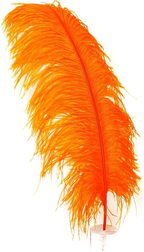 Amazon.com: ZUCKER Feather Products Ostrich Selected Feather Drab, 17", Orange : Clothing, Shoes & Jewelry Orange Clothing, Baby Hair Clips, Ostrich Feather, Ostrich Feathers, Orange Bag, Crafts Sewing, The Amazon, Amazon Art, Baby Hair