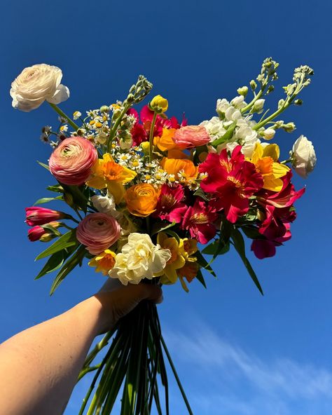 🌞 A sunshine bouquet for a grey day 🌫️ I’d love to do wedding florals in these hot pink & orange tones 🌺🍊 Getting married & want vibrant blooms?! Get in touch! #sunshineflowers #sunshinebouquet #brightbridalbouquet #brightweddingflowers #orangebridesmaids #orangebridalbouquet #brightweddings #colourfulbridalbouquet #colourfulweddingflowers Hot Pink And Orange Bouquet, Bright Flower Bouquets, Pink Orange Wedding Bouquet, Pink And Orange Bouquet, Hoco Flowers, Yellow Flower Arrangements, Yellow Bridal Bouquets, Orange Bridal Bouquet, Orange Wedding Bouquet