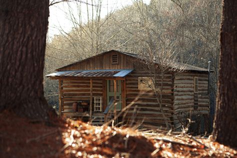 || Billy Summers Stephen King Aesthetic, Alex Wilson, Aesthetic Wattpad, Books 2023, Haunting Adeline, Apocalypse Aesthetic, Cozy Log Cabin, Log Home Decorating, Cabin Living