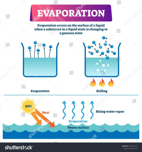 Evaporation vector illustration. Labeled liquid surface substance change to gas state scheme. Educational explanation diagram with nature phenomenon when sun heats warm water and triggers rising vapor #Ad , #spon, #change#substance#gas#scheme 4th Grade Sight Words, Perceptual Map, Solutions And Mixtures, Fractional Distillation, Flow Map, Essential Oil Labels, Computer Basic, Iphone Wallpaper Classy, Drawing Examples