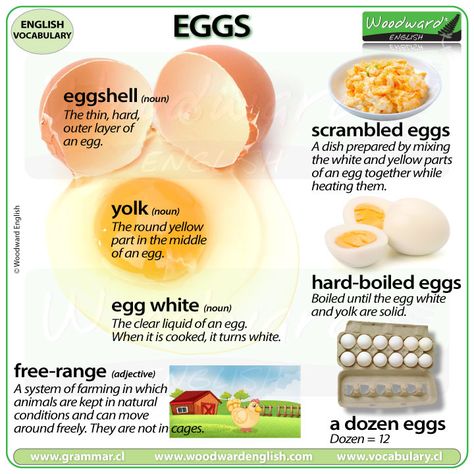 EGG Vocabulary - 7 Words associated with Eggs  More details, including examples sentences, on our website. Object Names, Driving Signs, Woodward English, Slang English, Vocabulary In English, English Meaning, Learn English For Free, Fruit Smoothie Recipes Healthy, Improve English