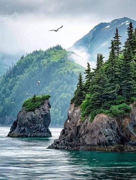 Kenai Fjords, Mountain Man, Nature Beauty, Alaska, Landscape Photography, Cool Photos, National Parks, Wonder, Photography