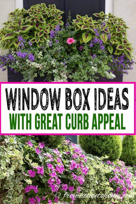 Window Box Flower Combinations: Flower Box Ideas Inspired By Charleston Window Boxes Flower Box Ideas, Flower Combinations, Window Box Plants, Budget Landscaping, Porch Flowers, Window Plants, Window Box Flowers, Window Planters, Vegetable Garden For Beginners