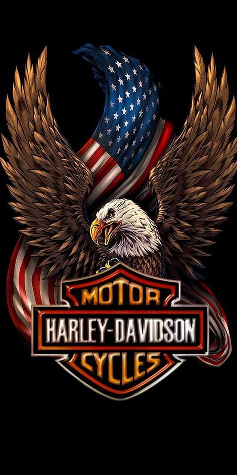 Harley Davidson Kunst, Art Harley Davidson, Logo Harley Davidson, Motocykle Harley Davidson, Harley Davidson Decals, Motor Harley Davidson, Flag Cross Stitch, Harley Davidson Images, Harley Davidson Posters