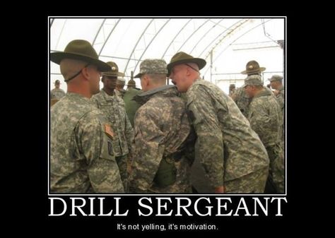 Drill Sgt Marine Quotes, Army Basic Training, Drill Sergeant, Military Jokes, Civil Air Patrol, Military Photography, Military Memes, Combat Medic, Army Humor