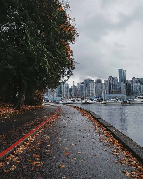 Vancouver 💚 City Sights Action on Instagram: “🔥Fall is very photogenic in Vancouver 🍁 Photo: @audreymichat . Follow @koolbodiesapparel🔥 💥” Vancouver Photos, Vancouver City, Fall Is Coming, Nice France, Napoleon Hill, Vancouver Canada, Sunshine Coast, Europe Destinations, Pacific Northwest