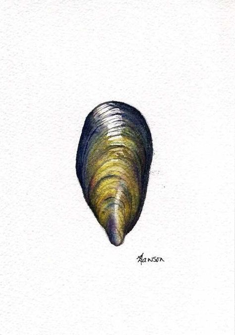 Seafood Art, Father Daughter Tattoos, Shell Painting, Shell Tattoos, Coastal Inspiration, Complex Art, Daughter Tattoo, Mussel Shell, Food Sketch