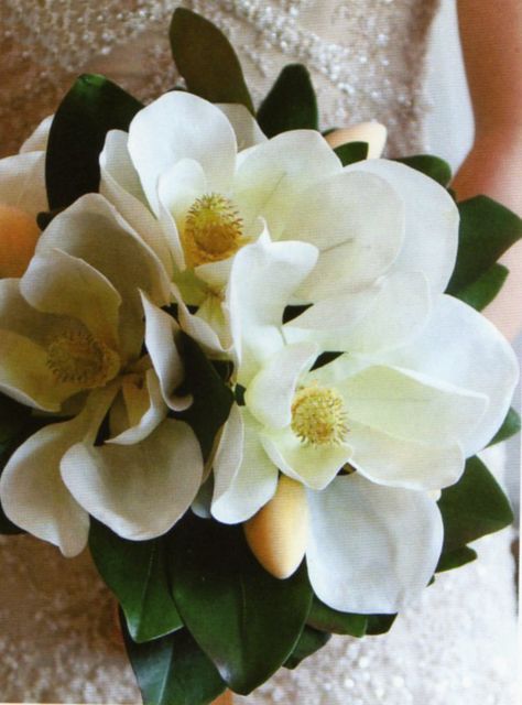 Magnolia bouquet! Magnolias Wedding Bouquet, Magnolia Bouquet, Bouquet Images, Magnolia Wedding, Sweet Magnolia, Southern Bride, Magnolia Flower, Southern Wedding, Bride Bouquets