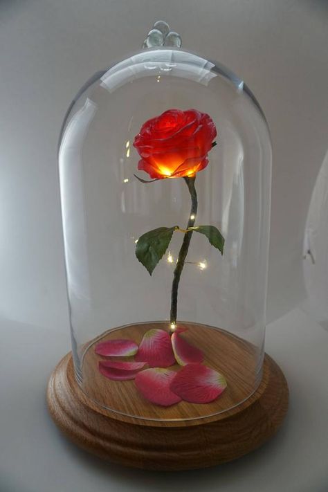 Beauty And The Beast Rose Diy, Beauty And The Beast Flower, Beauty And The Beast Disney, Magic Rose, The Beast Disney, Beauty And The Beast Rose, Rose Diy, Beast Disney, Disney Belle