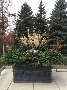 At A Glance: Recent Work Deborah Silver, Diy Crafts Ideas, Outdoor Christmas Planters, Winter Arrangements, Winter Planter, Garden Works, Christmas Planters, Winter Project, Flower Display