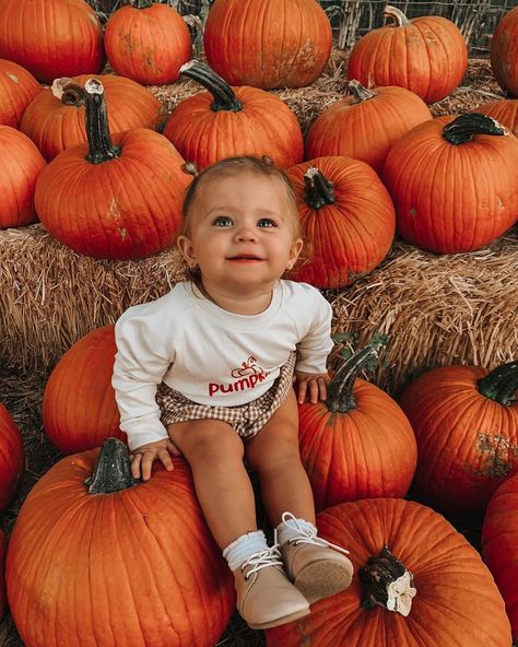 Lookin more & more like a toddler every day... acting like one too *cue the tantrum* 🙄 Kenzie Lunt, Photo Bb, Pumpkin Patch Photoshoot, Diy Newborn Photography, Pumpkin Patch Pictures, Toddler Pictures, Cutest Pumpkin In The Patch, Toddler Photoshoot, Baby Halloween Outfits