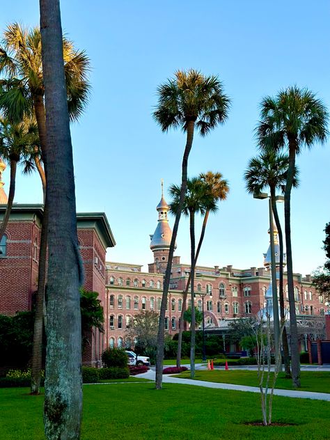 Outdoors Aesthetic, Florida College, College Usa, University Of Tampa, Usa University, Colleges In Florida, University Of South Florida, College Aesthetic, Dream College