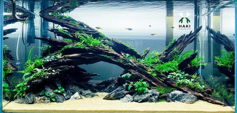 Nature Style Aquascape, Large Tank Aquascape, Driftwood Aquascape Planted Aquarium, Biotope Aquarium, Seiryu Stone Aquascape, Double Islands, 40 Gallon Breeder Aquascape, Fish Tank Themes, Tropical Fish Tanks