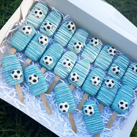 Soccer Cakesicles Ideas, Argentina Soccer Theme Birthday Party, Argentina Theme Cake, Argentina Party Decorations, Soccer Cakesicles, Argentina Birthday Cakes, Messi Birthday Party Ideas Argentina, Football Cakesicles, Cakecicles Ideas