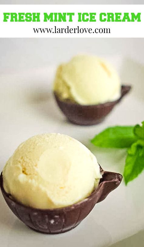 Using Fresh Mint, Mint Leaves Recipe, Mint Recipes Fresh, Cuisinart Ice Cream Maker Recipes, Mint Gelato, Mint Desserts, Mint Chocolate Ice Cream, Cuisinart Ice Cream Maker, Cuisinart Ice Cream