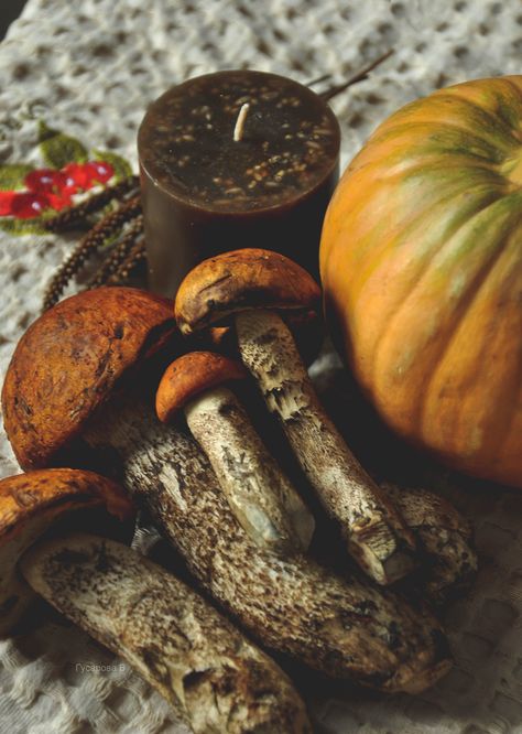 New post on tempetes Witch Hut, October Country, Autumn Witch, Festival Aesthetic, Autumnal Equinox, Kitchen Witchery, Hedge Witch, Autumn Magic, Witch Magic