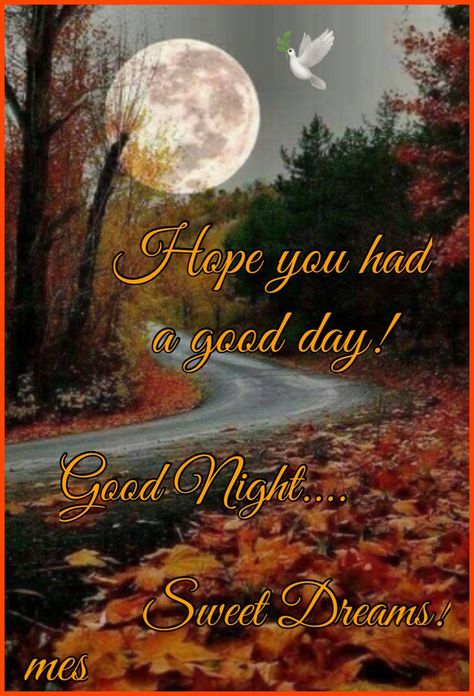 Fall Good Night Quotes, Good Night Autumn Images, Good Night Fall Images, Fall Poems, Sweet Dreams Good Night, Good Night Msg, Good Night Meme, Sun Images, Goodnight Images