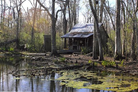 Louisiana Cajun People | Recent Photos The Commons Getty Collection Galleries World Map App ... Bayou House, Where The Crawdads Sing, Louisiana Swamp, Louisiana Bayou, Louisiana Art, Catty Noir, By Any Means Necessary, Southern Gothic, Cabin In The Woods