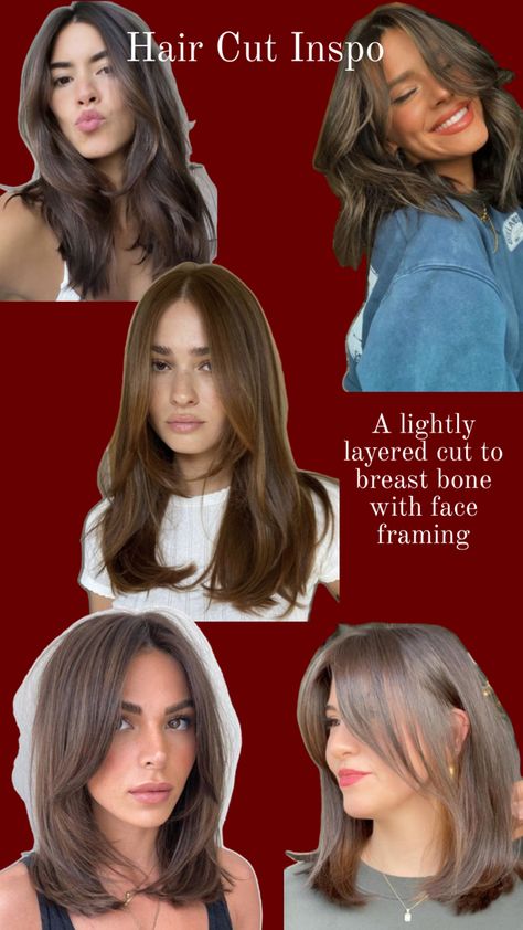 Armpit Length Hair, Damaged Curly Hair, Diamond Face Hairstyle, Hair Stayl, Haircut For Face Shape, Haircuts For Long Hair With Layers, Haircuts For Medium Length Hair, Hair Tint, Hair Color Caramel