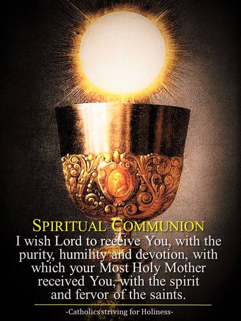 Spiritual Communion Prayer Spiritual Communion Prayer, Precious Blood Of Jesus, Catholic Traditions, Catholic Devotions, Holy Hour, Communion Prayer, Holy Eucharist, Saint Therese, Catholic Beliefs